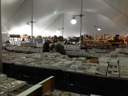 Denver Gem &amp; Mineral Show